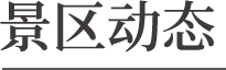 景區(qu)動(dòng)态