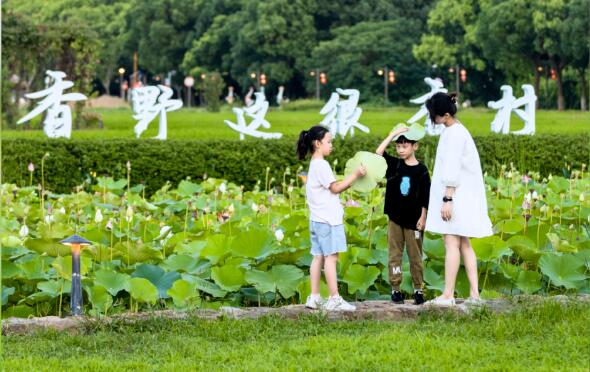 消夏指南(nan)丨26℃的(de)周莊香村「清(qing)涼貼」
