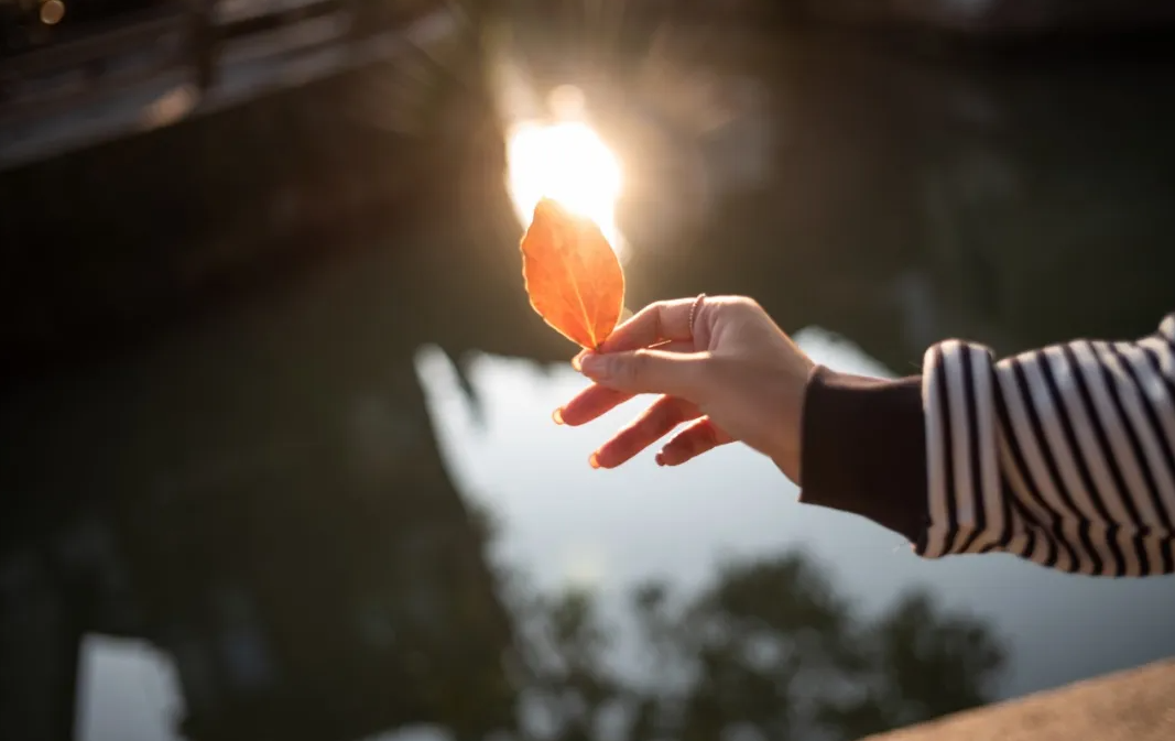 秋日(ri)濃度已超标 | 去周莊，走(zou)進(jin)第二箇(ge)春天