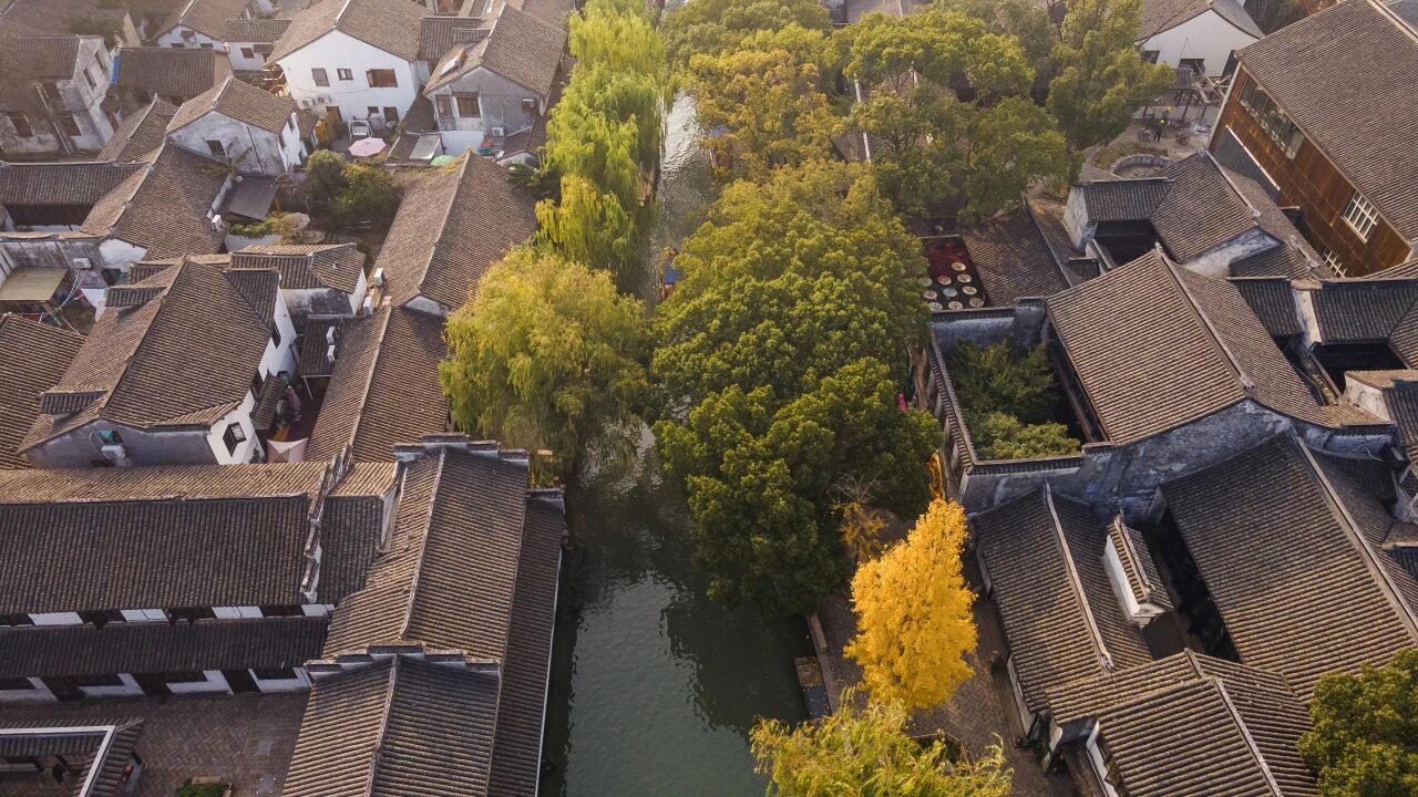 初冬周Walk丨暖洋洋，慢慢遊